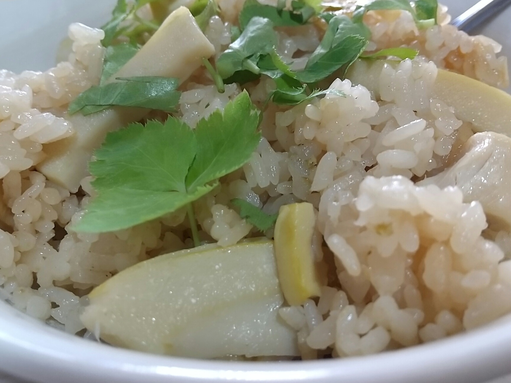 風味豊かな 鶏肉とたけのこの炊き込みご飯 レシピ 作り方 By にっこり Sun 楽天レシピ 風味豊かな 鶏肉とたけのこの炊き込みご飯 レシピ 作り方 By にっこり Sun 楽天レシピ