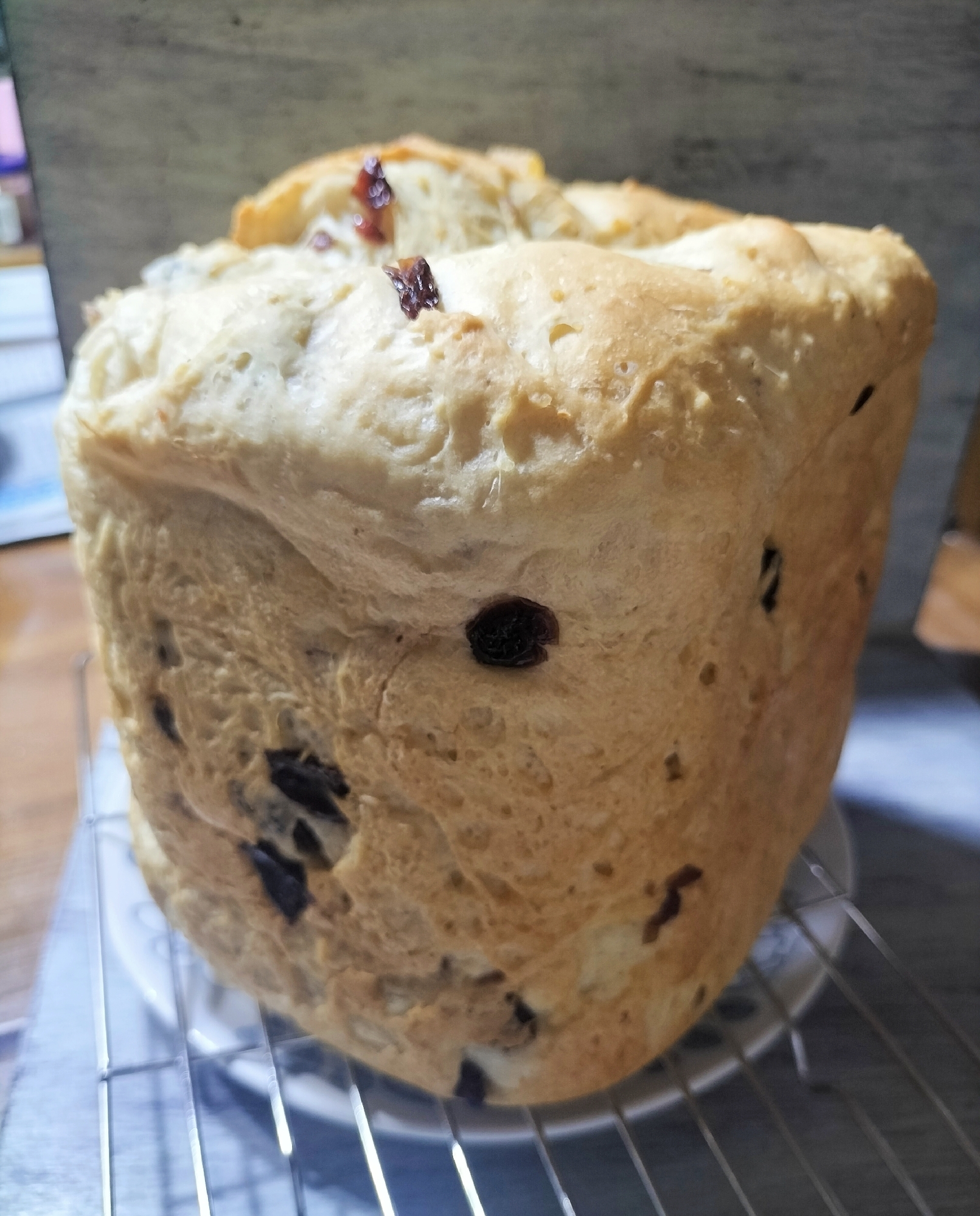 パインコアとクランベリーのモチモチご飯パン