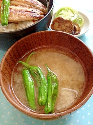 【日本食】簡単! 焼きししとうのお味噌汁