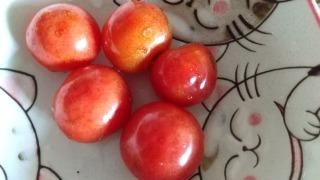 プチぷよトマトのマリネ♡ミニトマト