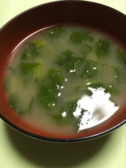 栄養豊富な小松菜の初味噌汁です。
朝食に頂きました。
美味しく頂きました。^_^
