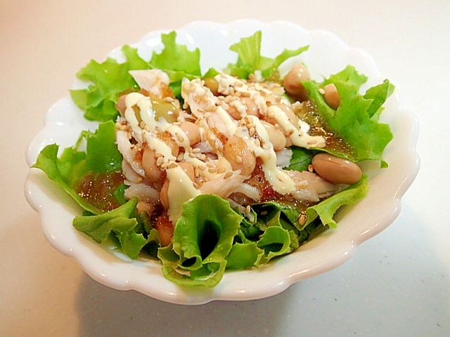 グリーンレタスとサラダチキンとサラダ豆のサラダ