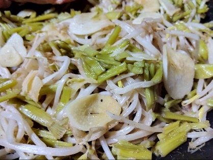 簡単♡スタミナ補給♡豆もやしとにんにくの芽のナムル