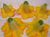 かぼちゃの花の天ぷら レシピ 作り方 By ガブリエル8世 楽天レシピ かぼちゃの花の天ぷら レシピ 作り方 By ガブリエル8世 楽天レシピ