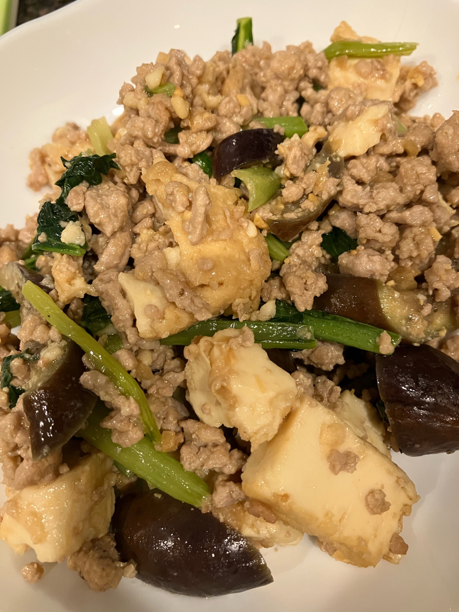 厚揚げと挽肉の生姜味噌炒め