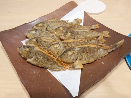 全部食べられるカサゴとメバルの唐揚げ