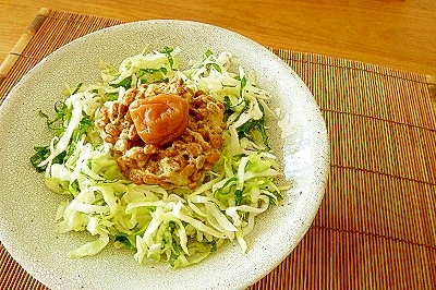 一人ご飯に！簡単美味しい☆納豆キャベツ丼