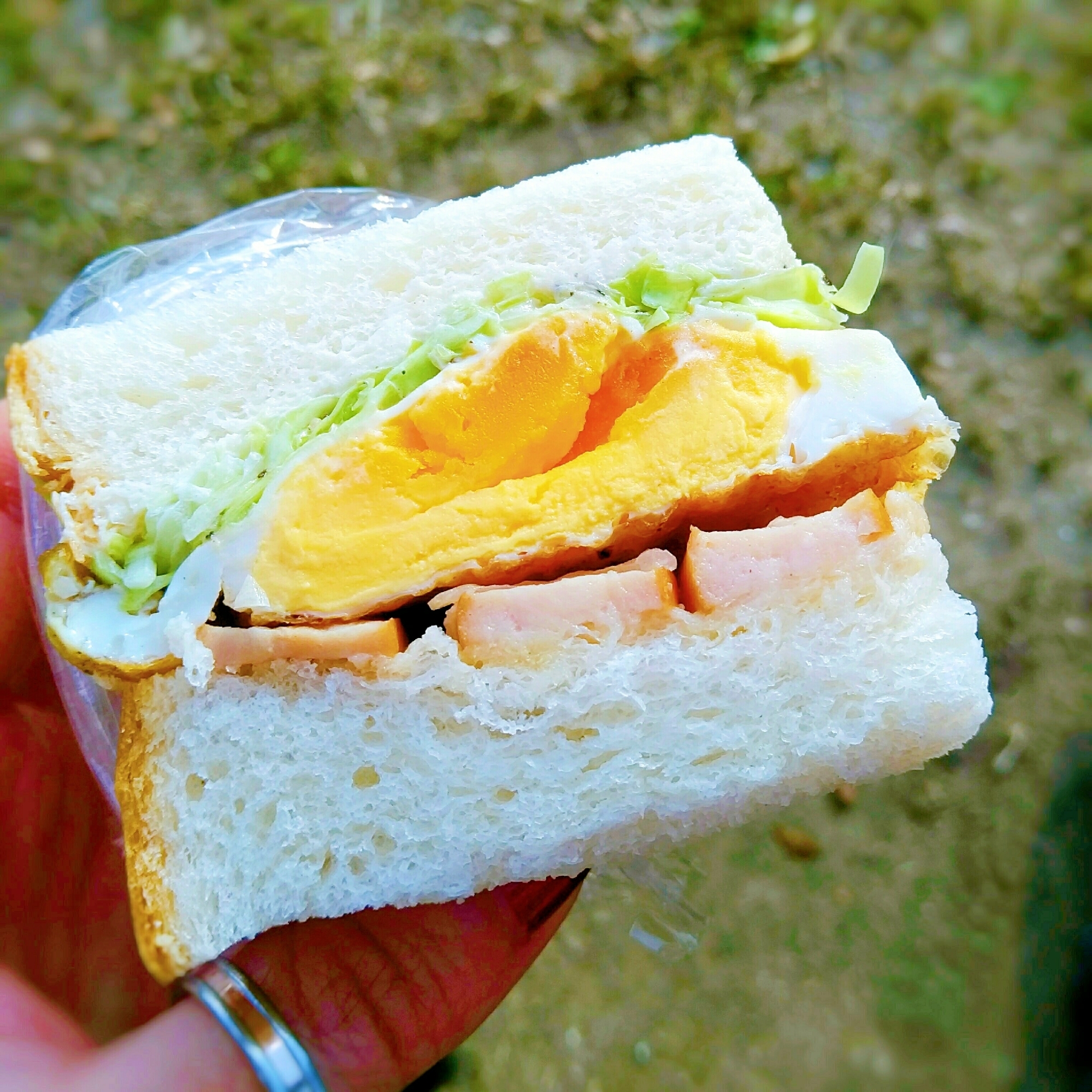 朝ごはんやお弁当に☆目玉焼きサンド