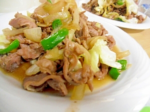 焼肉のタレで　初めてのジンギスカン
