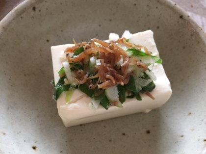 変わり薬味のやっこさん　ちりめん山椒はどうざんしょ