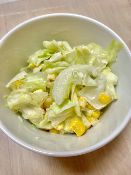 初めてコールスローを作りました！とても美味しくて子どもにも好評でした^ ^