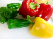 彩り 栄養 美味しい パプリカの用途別冷凍保存方法 レシピ 作り方 By Hami79 楽天レシピ 彩り 栄養 美味しい パプリカの用途別冷凍保存方法 レシピ 作り方 By Hami79 楽天レシピ