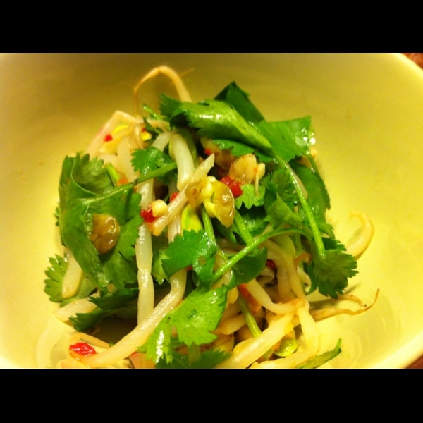 もやしとパクチーのナムル レシピ 作り方 By ぴーちゃん3279 楽天レシピ もやしとパクチーのナムル レシピ 作り方 By ぴーちゃん3279 楽天レシピ