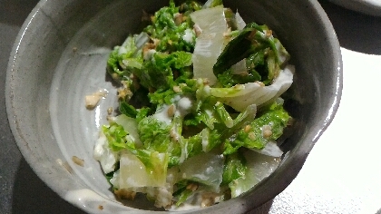 白菜が本当にたっぷり食べられますね。出汁とマヨネーズの組み合わせが美味しかったです