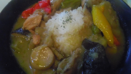 大好きなグリーンカレー、参考にさせていただきました。とても美味しかったです。ご馳走さまでした。