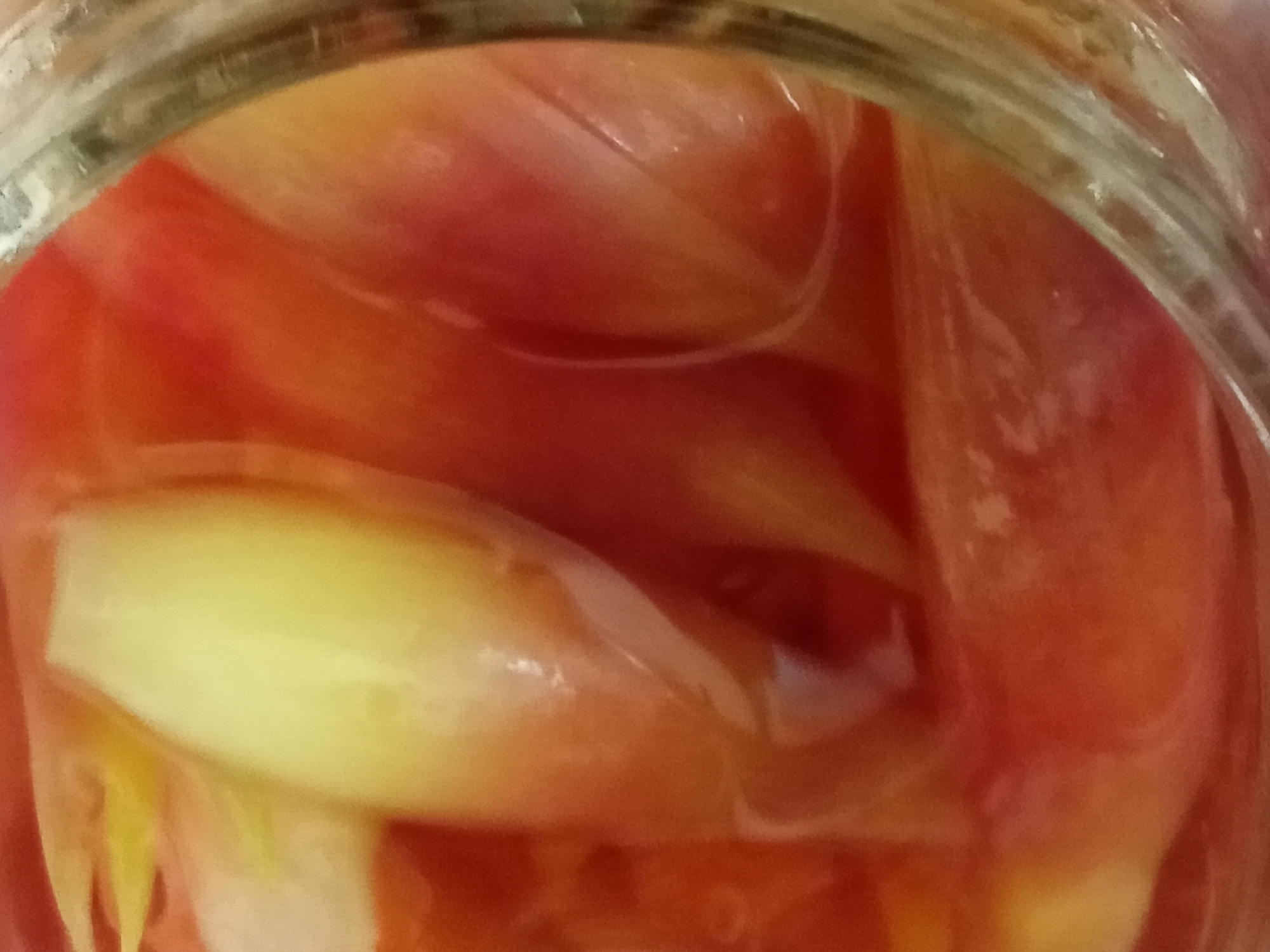 生姜の甘酢を天然素材で染める方法
