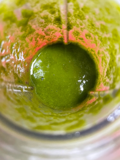 フレッシュバジルソース（バジルペースト）