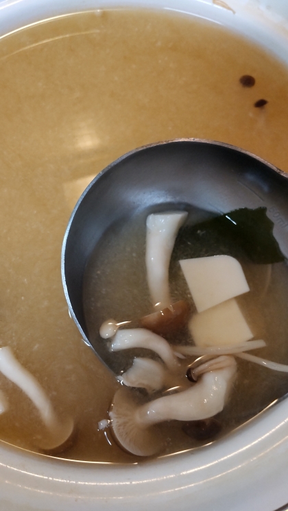 お豆腐とワカメときのこのお味噌汁