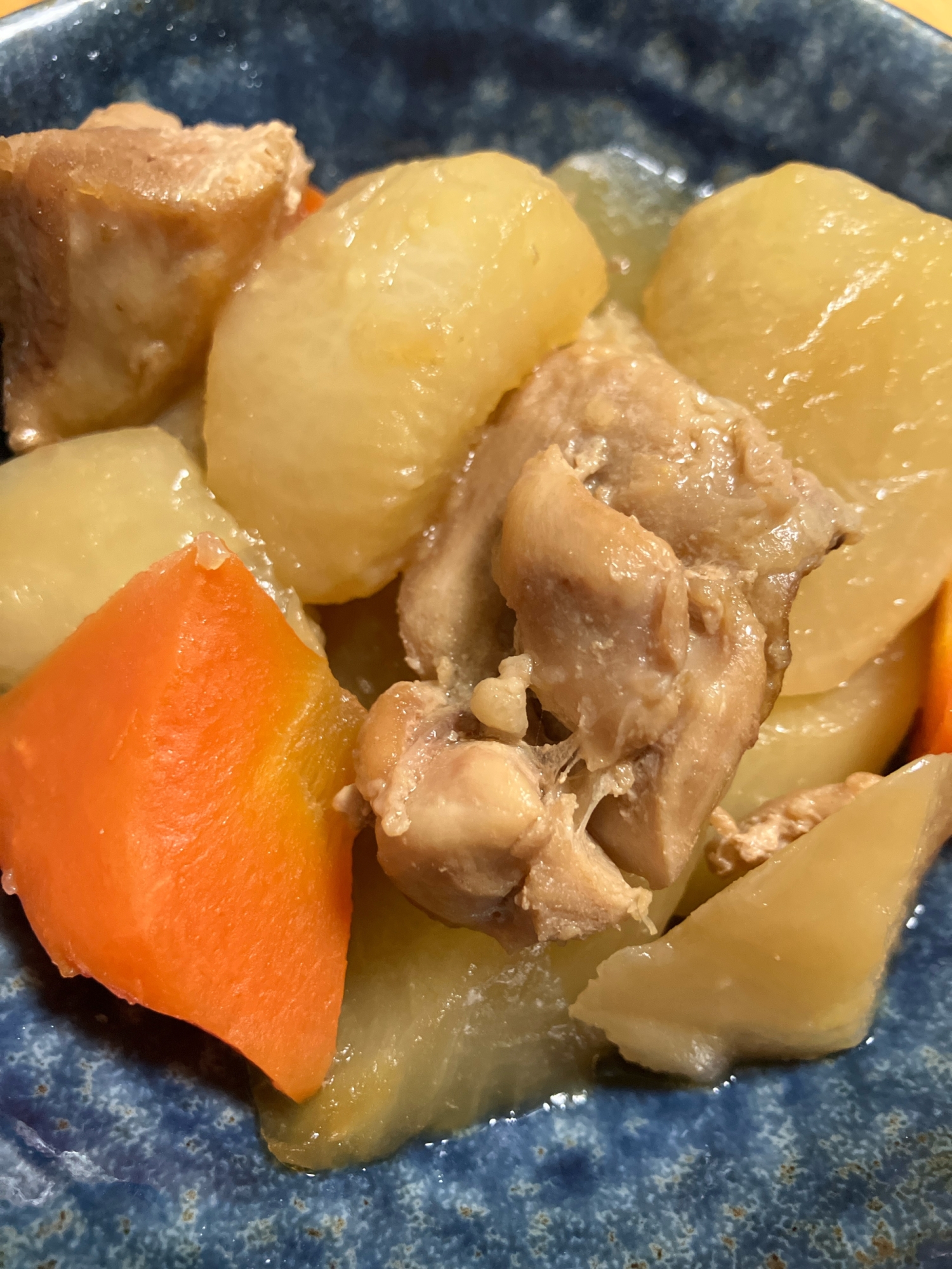 ほっこり鶏肉と大根の煮物