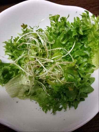 レタスとスプラウトのサラダ