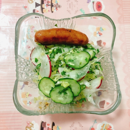 5分で完成♡シャキシャキ♡白菜ときゅうりのサラダ