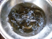 夏を乗りきる どじょうのから揚げ レシピ 作り方 By 身の茸335 楽天レシピ 夏を乗りきる どじょうのから揚げ レシピ 作り方 By 身の茸335 楽天レシピ