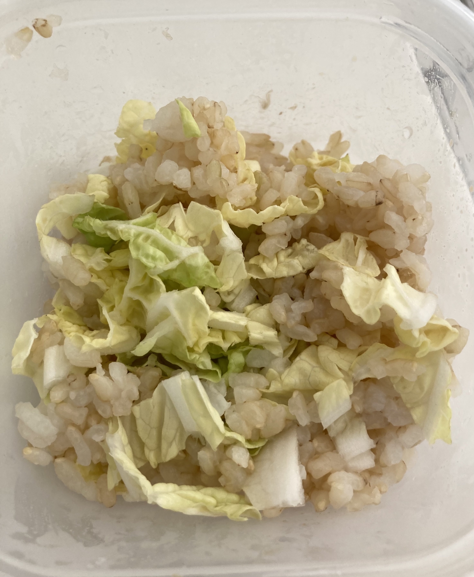 シャキシャキ白菜の玄米ご飯！
