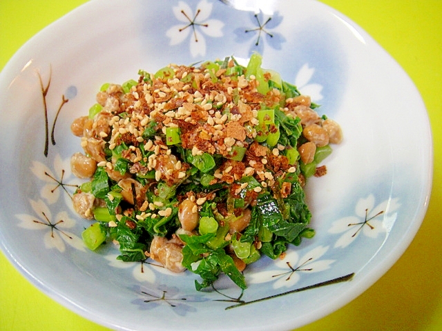 大根の葉とおかかふりかけの納豆和え