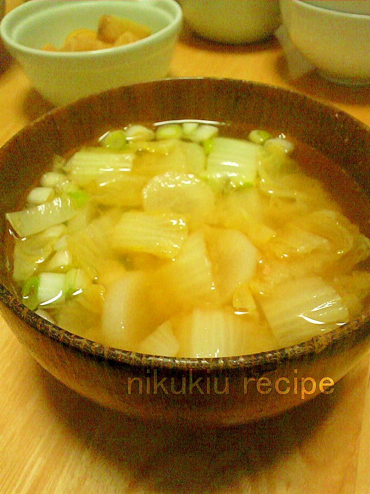 白菜・ねぎ・大根の味噌汁