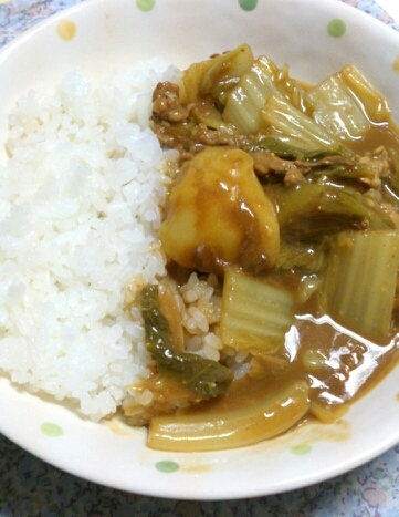 白菜とネギの和風カレー