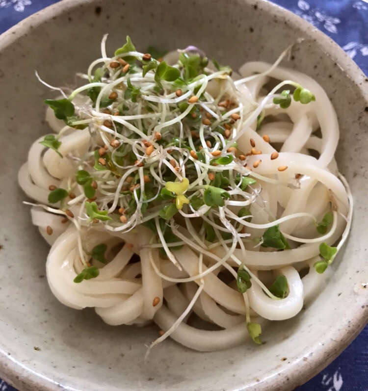 スプラウトサラダうどん