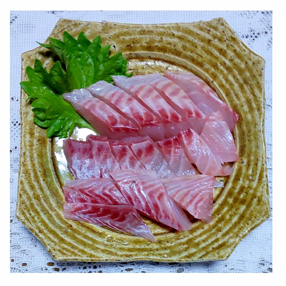 イサキの昆布締め