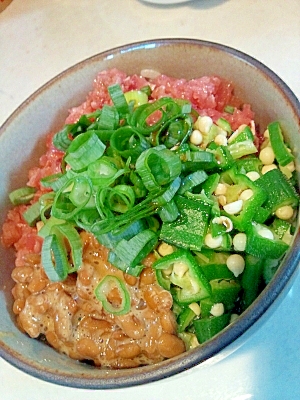 ネバネバコンビと一緒に☆ねぎトロ丼