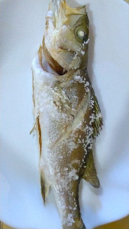 【釣り魚料理】セイゴの塩焼き