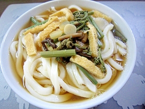 山菜あげうどん☆