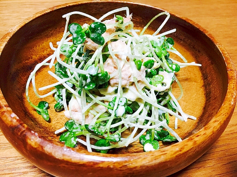 新芽のサラダ ツナ ブロッコリー かいわれ大根 レシピ 作り方 By おこのみっちゃん 楽天レシピ 新芽のサラダ ツナ ブロッコリー かいわれ大根 レシピ 作り方 By おこのみっちゃん 楽天レシピ