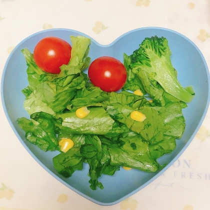 白菜・胡瓜・トマトのサラダ
