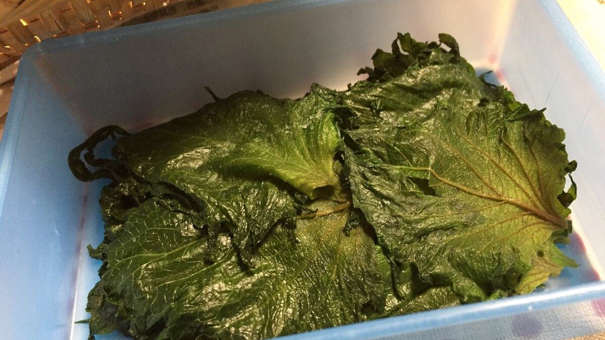 大葉の塩漬け レシピ 作り方 By ガブリエル8世 楽天レシピ 大葉の塩漬け レシピ 作り方 By ガブリエル8世 楽天レシピ