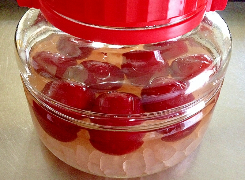 スモモ プラム サワードリンク レシピ 作り方 By 栗皮茶 楽天レシピ スモモ プラム サワードリンク レシピ 作り方 By 栗皮茶 楽天レシピ