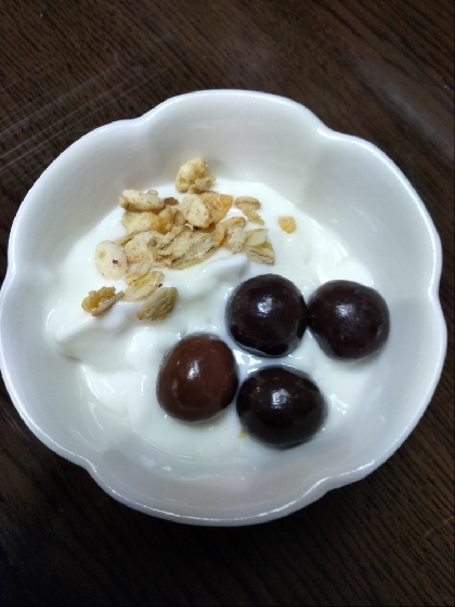 チョコレートヨーグルトⅨ