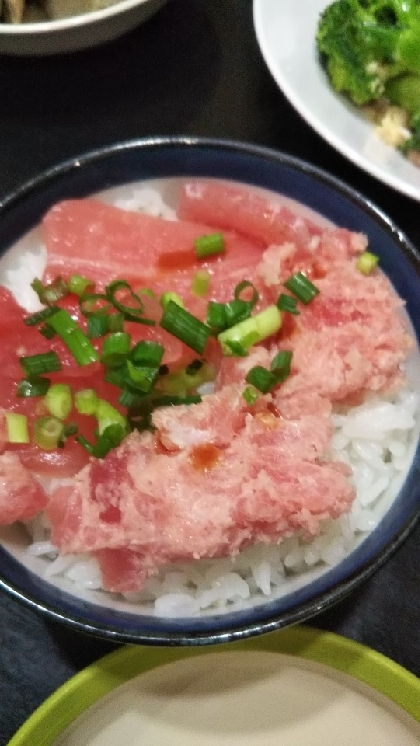 サーモン&ネギトロ丼