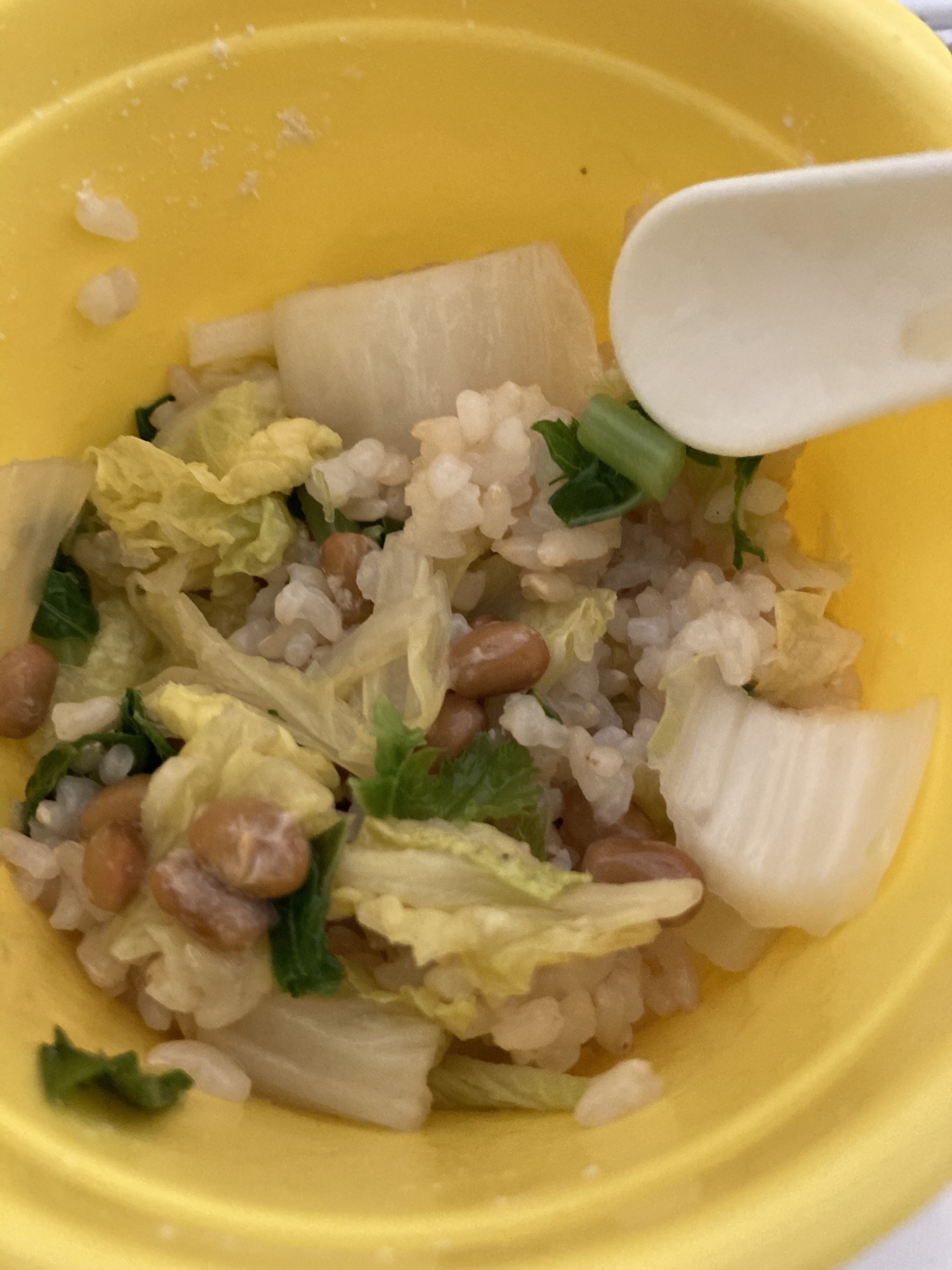 白菜とカブの葉の納豆混ぜご飯