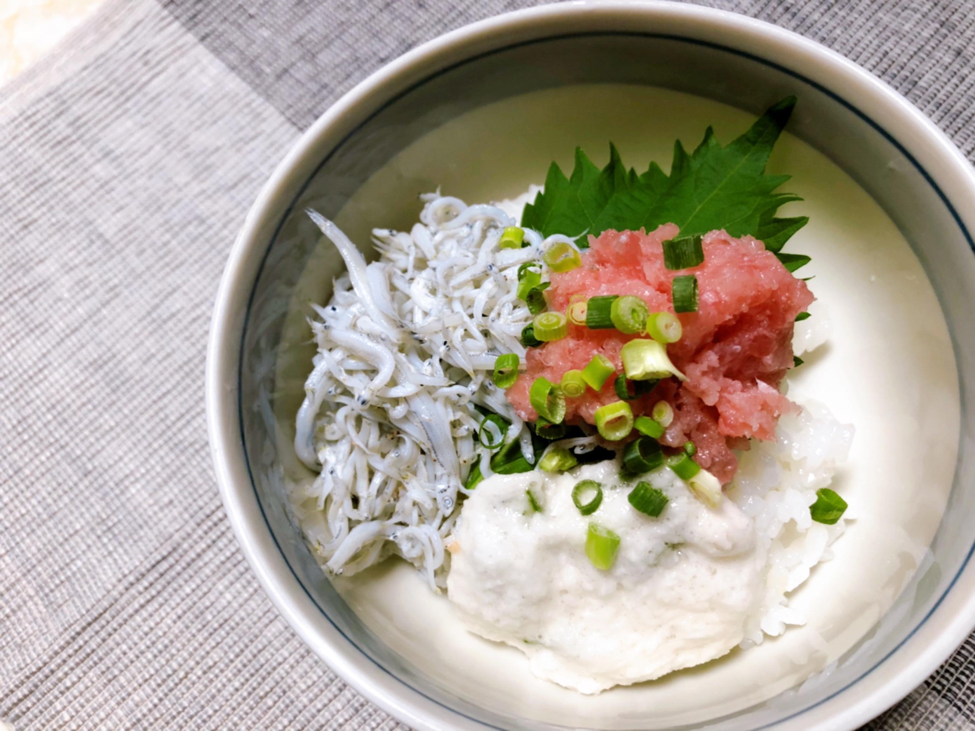 焼津のしらすねぎとろ丼