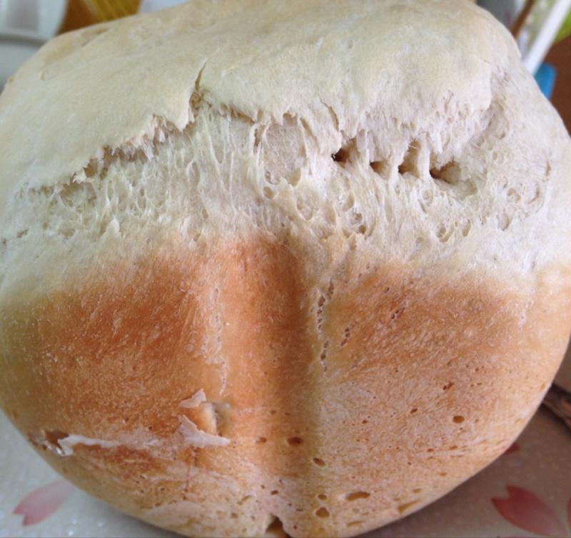 モリンガ入り食パン