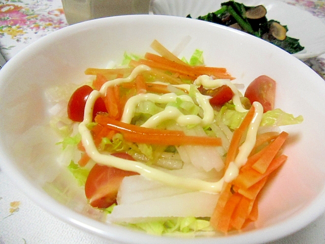 大根と彩り野菜のサラダ