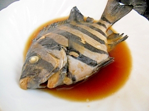 石鯛の煮付け レシピ 作り方 By ミスチバス 楽天レシピ 石鯛の煮付け レシピ 作り方 By ミスチバス 楽天レシピ