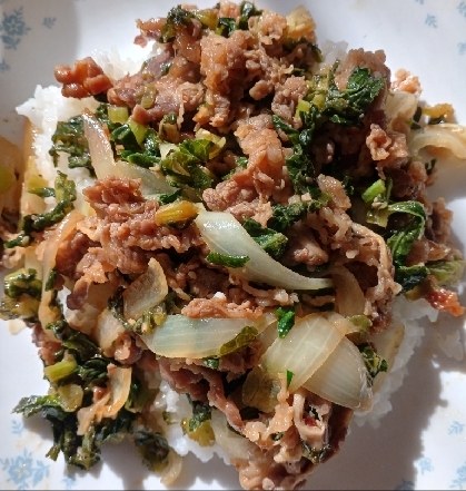 材料はネギと肉だけ！簡単プルコギ丼！