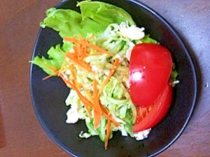 ドレッシングは何でもＯＫ★蒸し鶏と生野菜のサラダ