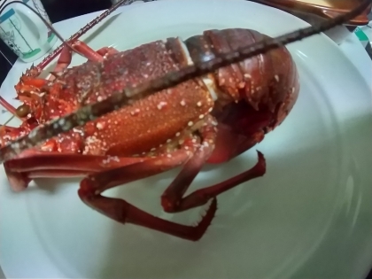 一番美味しい食べ方 茹で伊勢海老 レシピ 作り方 By Kuuuma 楽天レシピ 一番美味しい食べ方 茹で伊勢海老 レシピ 作り方 By Kuuuma 楽天レシピ