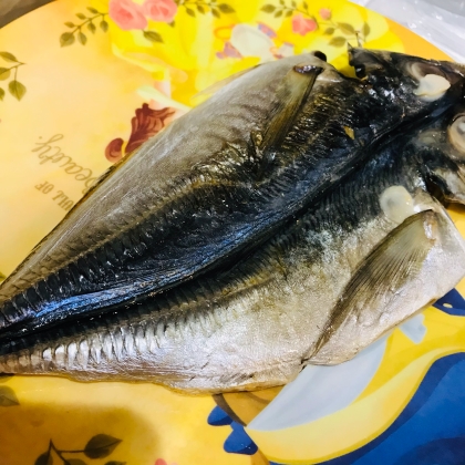 真あじの開き！フライパンで焼きました！